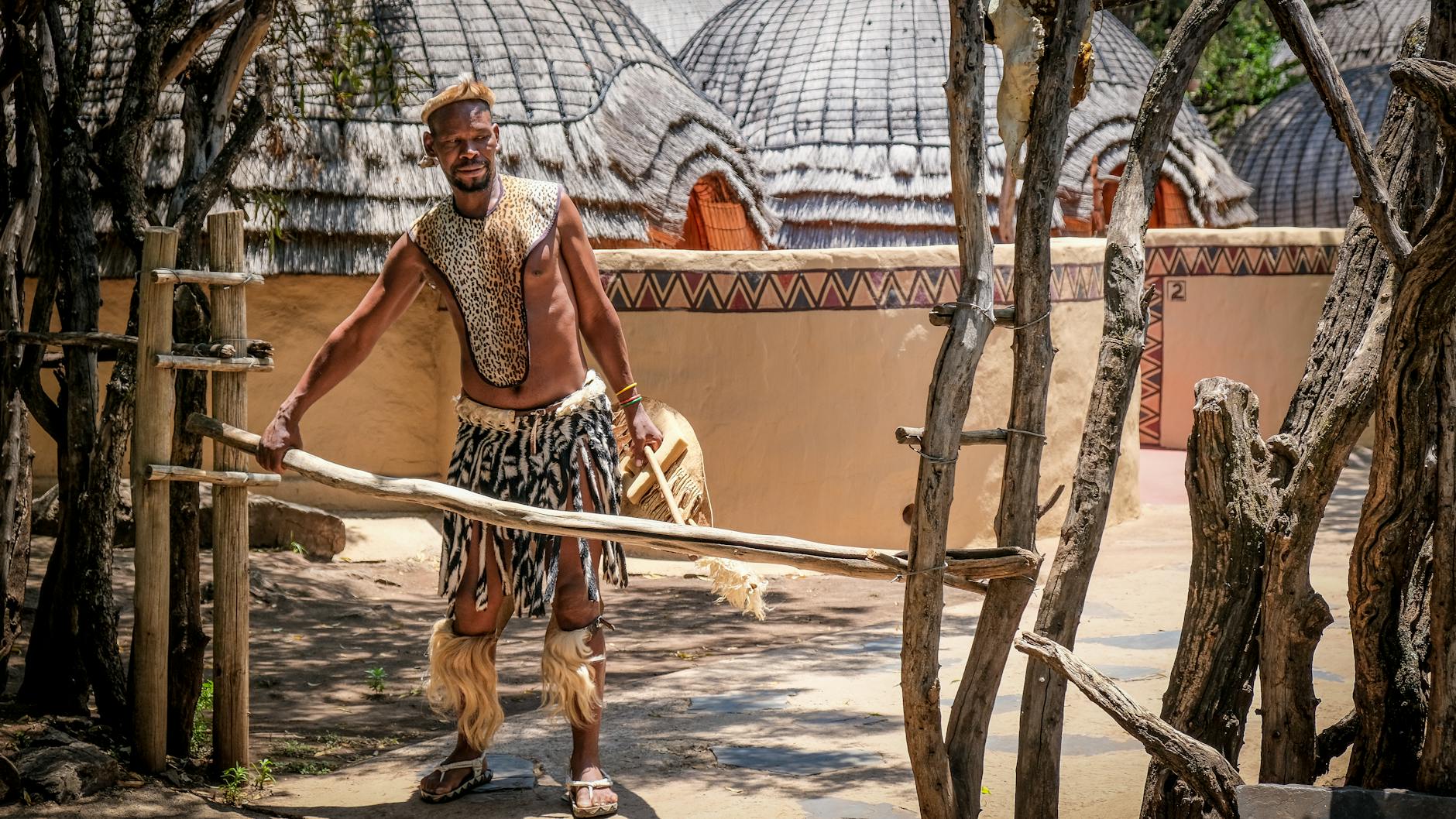 Traditional Zulu dancers performing at a South African cultural event