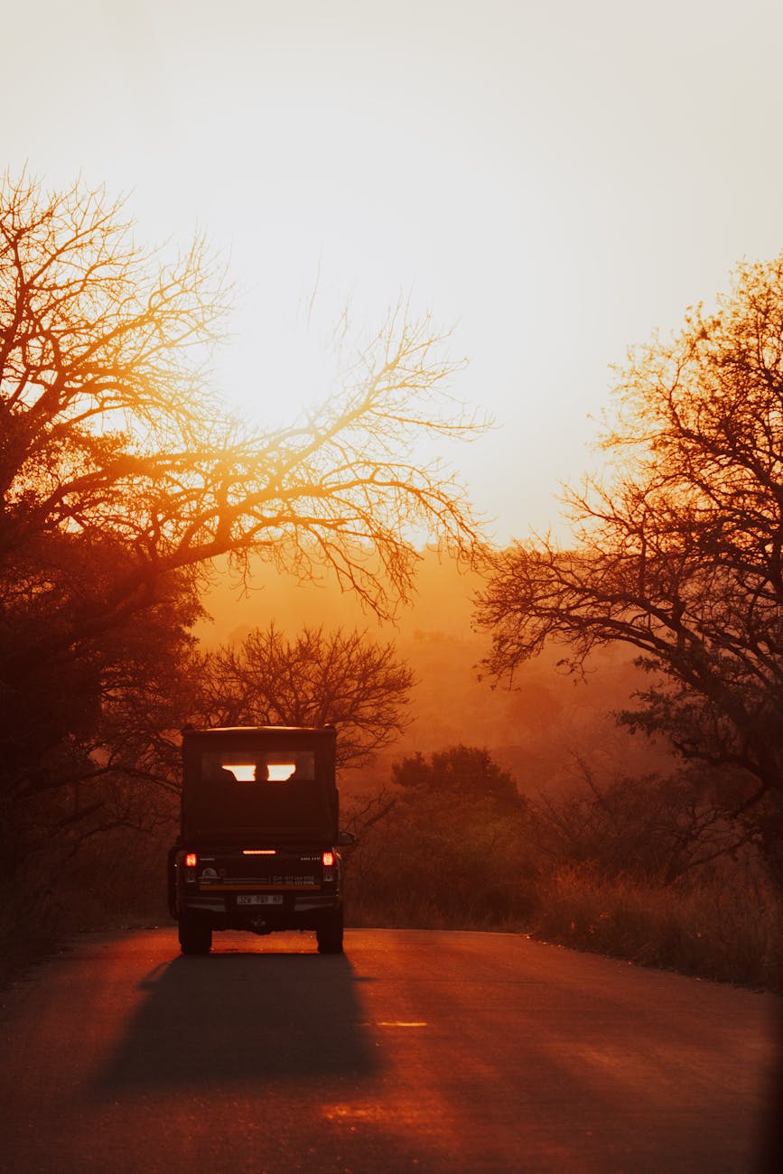 A safari jeep approaching elephants in Kruger National Park